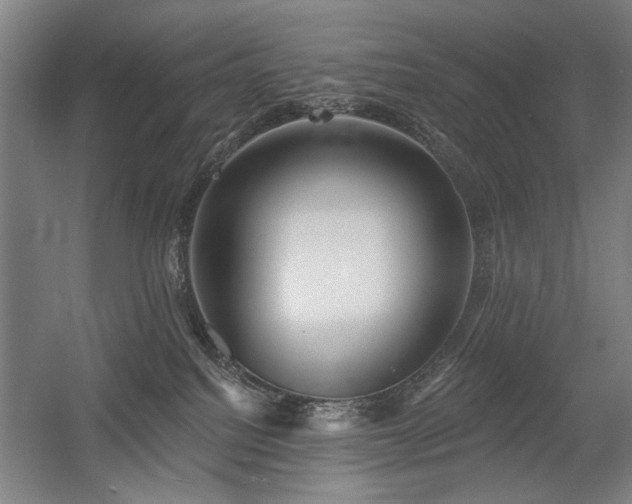 X0000056010088200508191312