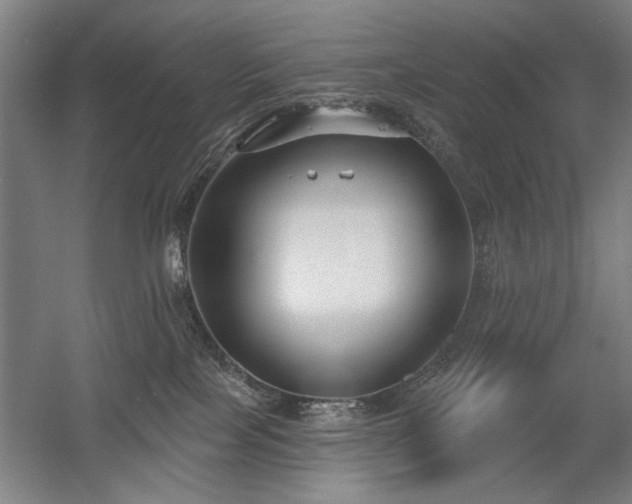X0000056010089200508191312