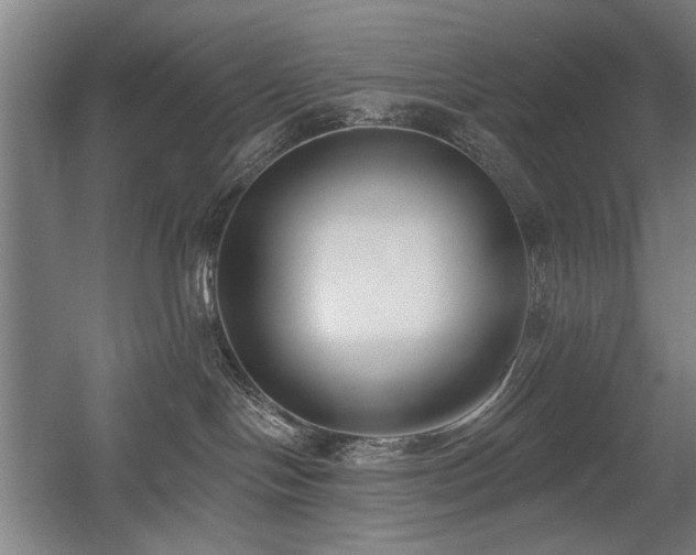 X0000056010094200508191312