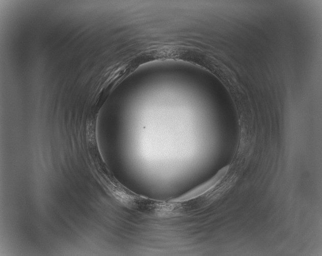 X0000056010096200508191313