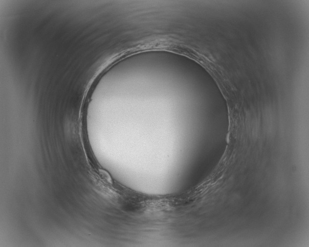 X0000056010100200508191312