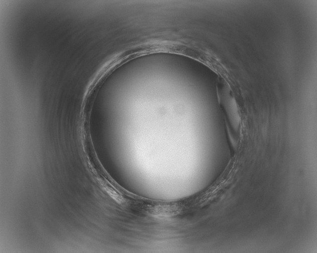 X0000056010101200508191312