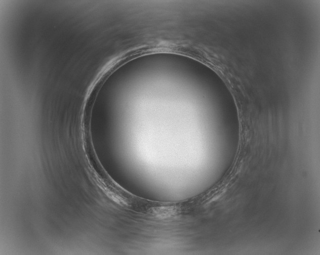 X0000056010102200508191312