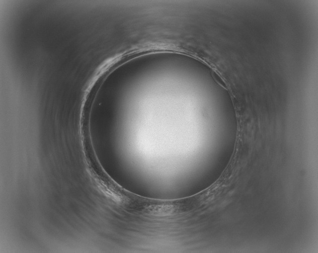 X0000056010104200508191312