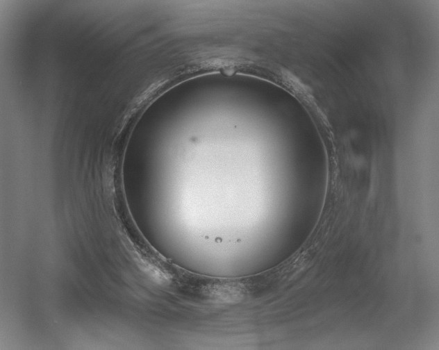 X0000056010106200508191312