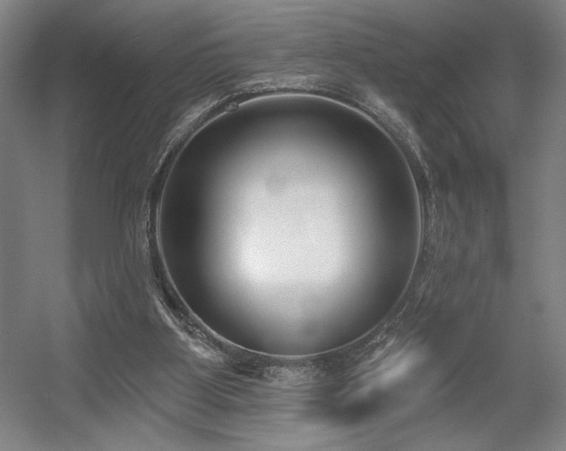 X0000056010107200508191312