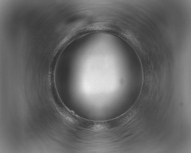 X0000056010111200508191311