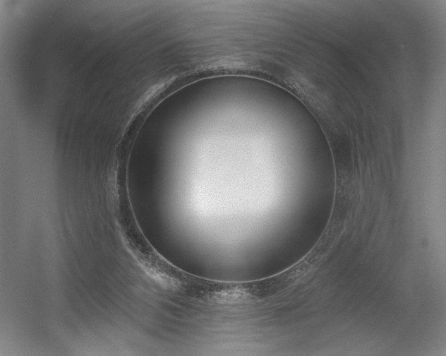 X0000056010112200508191311