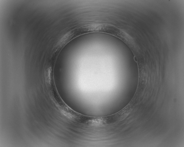 X0000056010118200508191311