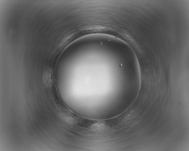 X0000056010119200508191311