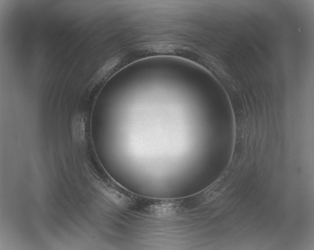 X0000056010120200508191311
