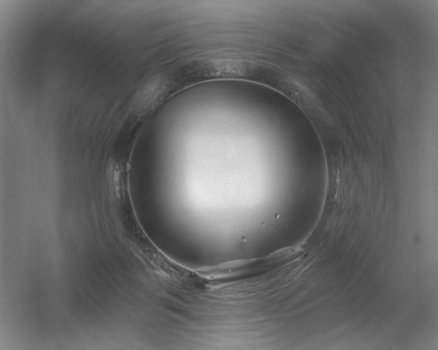 X0000056010123200508191311