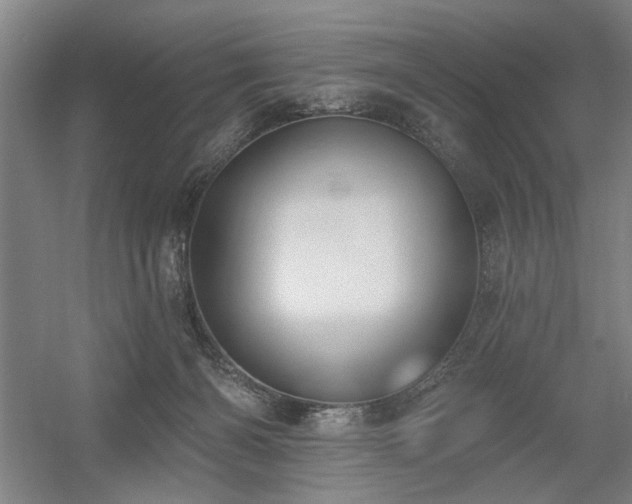 X0000056010126200508191311