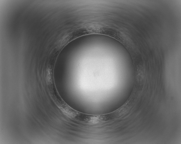 X0000056010130200508191311