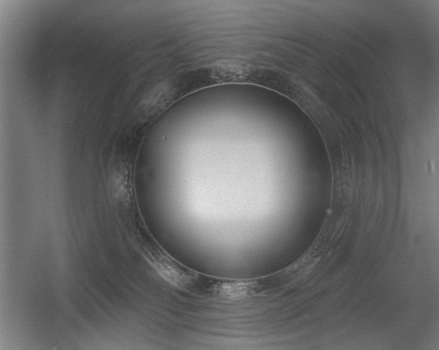 X0000056010134200508191311