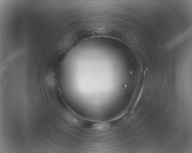 X0000056010135200508191311