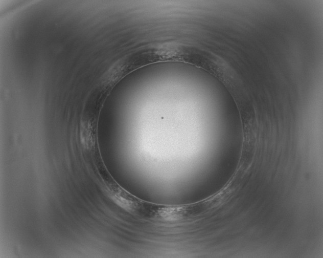 X0000056010136200508191311