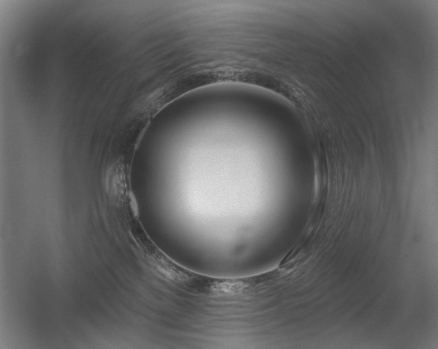 X0000056010137200508191311