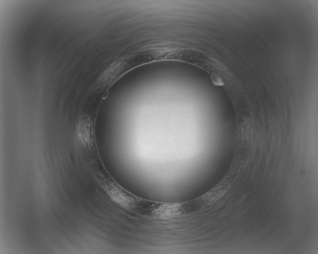 X0000056010138200508191311