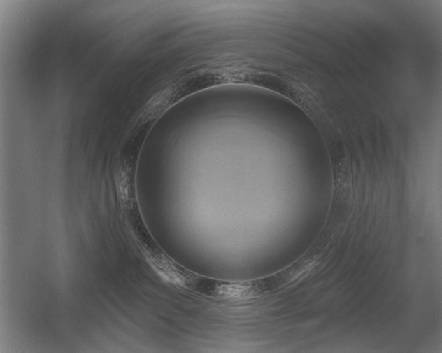 X0000056010139200508191311