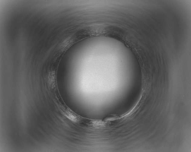 X0000056010144200508191311
