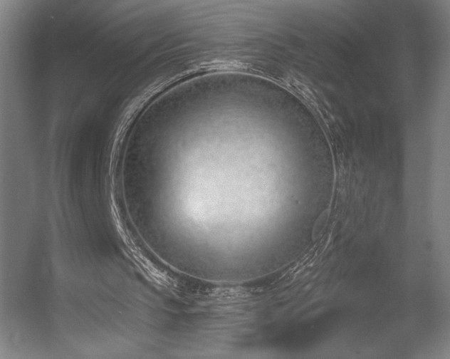 X0000056010145200508191310