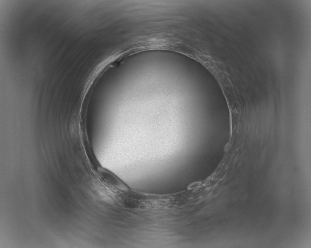 X0000056010147200508191310