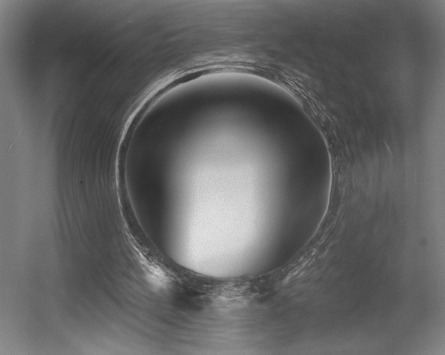 X0000056010148200508191310