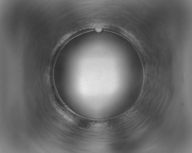 X0000056010155200508191310