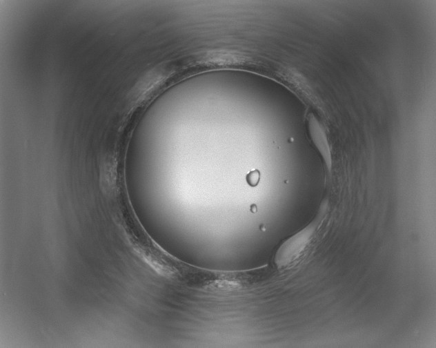 X0000056010159200508191310