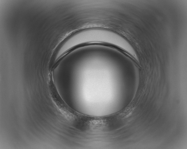 X0000056010160200508191310