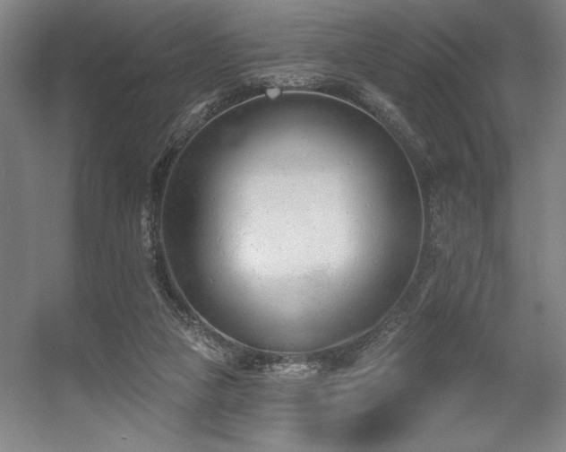 X0000056010161200508191310