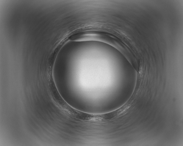 X0000056010168200508191310