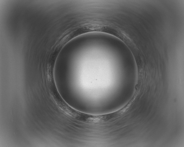 X0000056010170200508191310