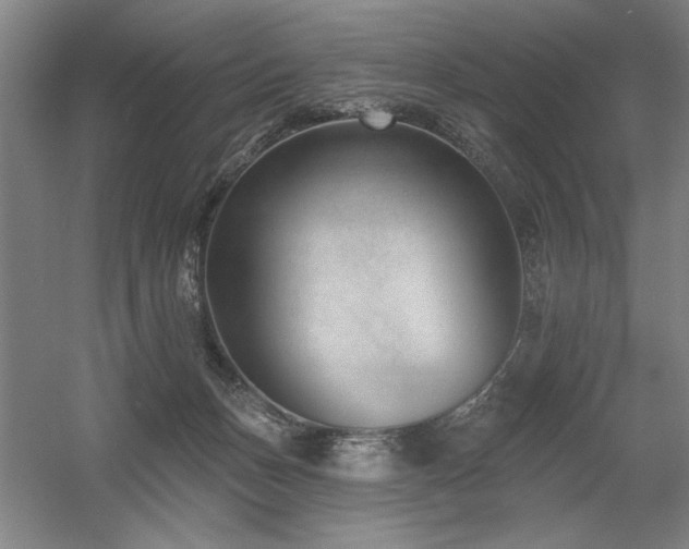 X0000056010175200508191311