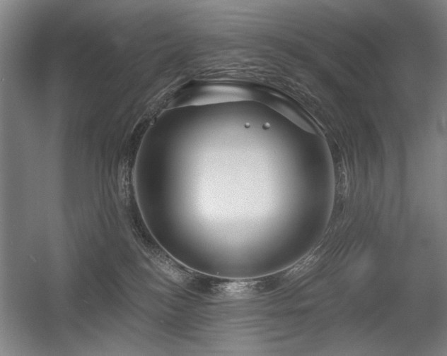 X0000056010184200508191311