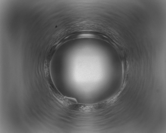 X0000056010186200508191311