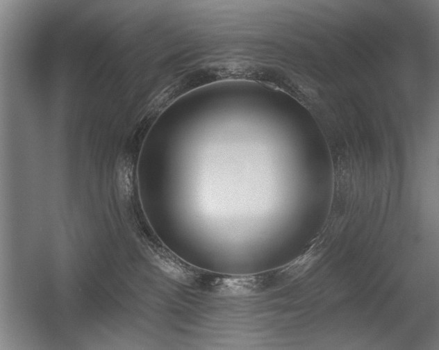 X0000056010188200508191311