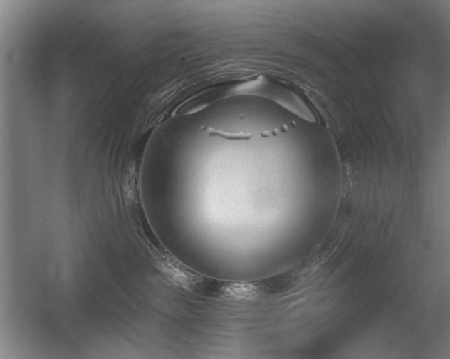 X0000056010189200508191311