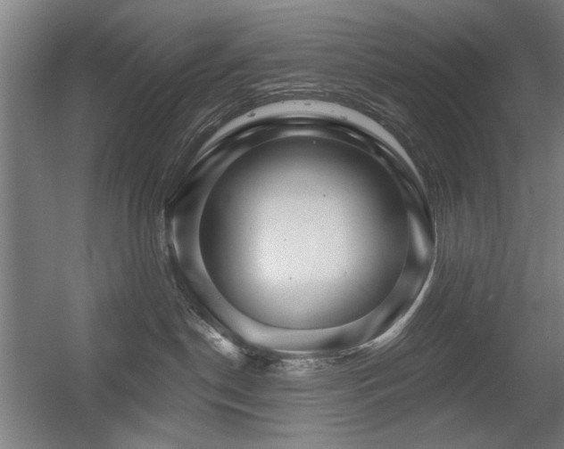 X0000056010190200508191311