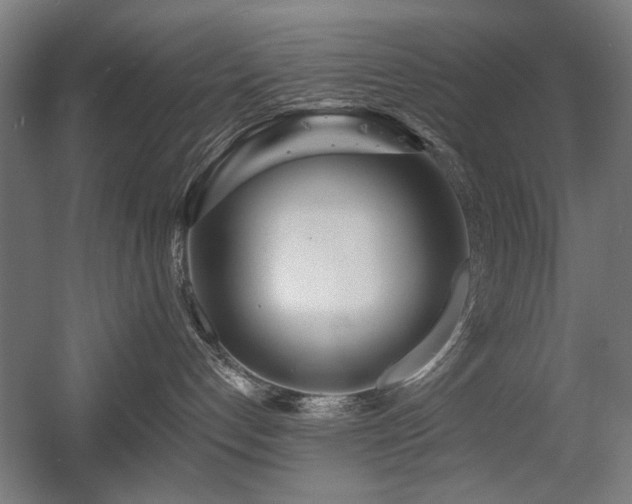 X0000056010192200508191311
