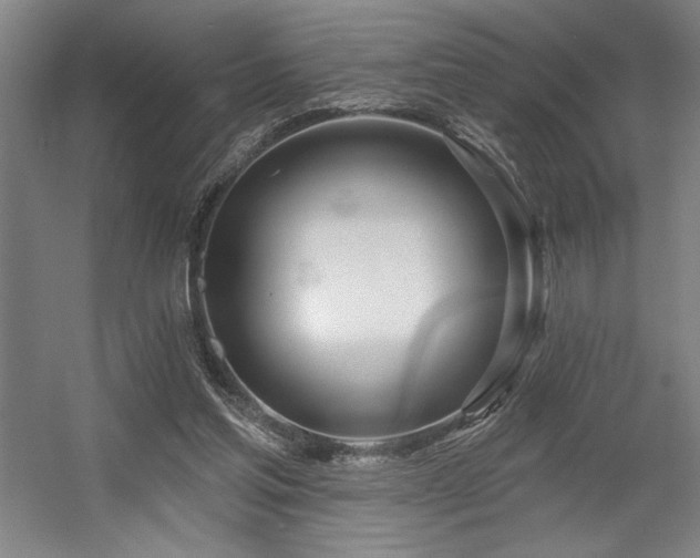 X0000056010205200508191310