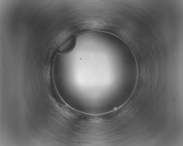 X0000056010206200508191310