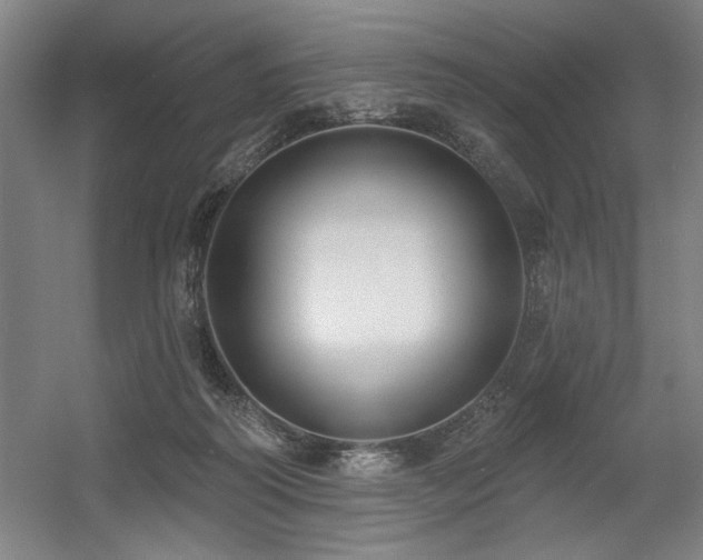 X0000056010218200508191310