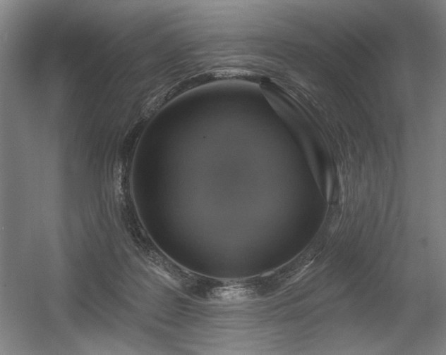 X0000056010219200508191310