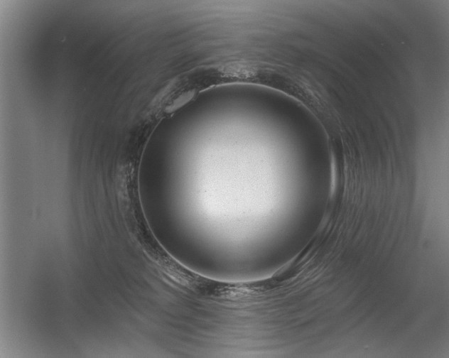X0000056010229200508191309