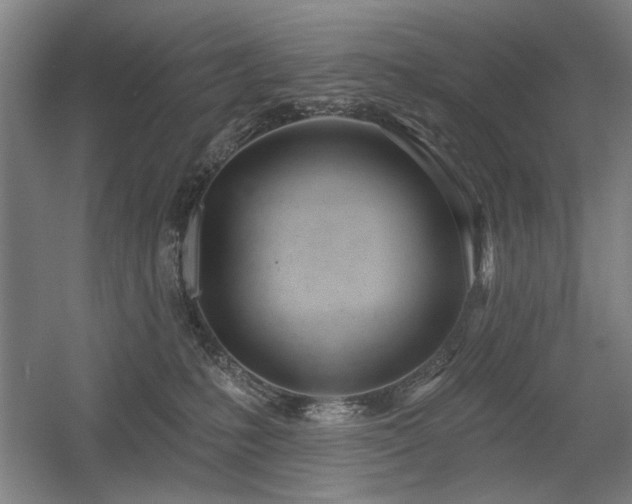 X0000056010231200508191309