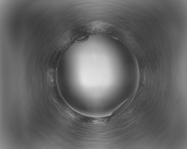 X0000056010232200508191309