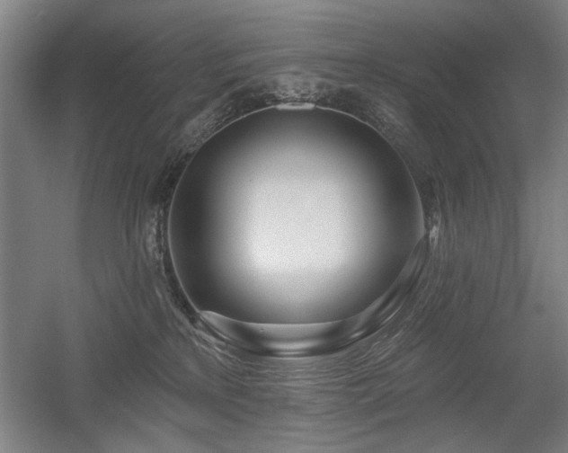 X0000056010233200508191309