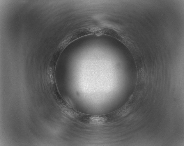 X0000056010234200508191309